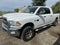 2010 Dodge Ram Pickup SLT