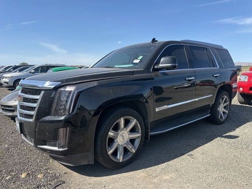2016 Cadillac Escalade Luxury Collection